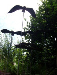 Corten staal vogels spanwijdte  90 cm 