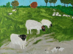 Schapen  € 200.00 